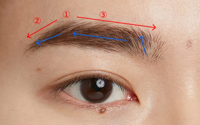 眉の欠損を補完する