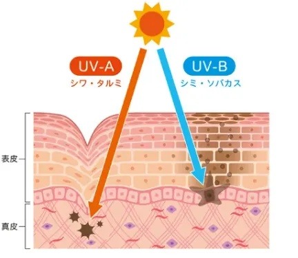 18.紫外線対策を徹底する
