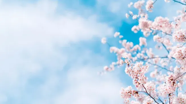 「女遊びしたことがない」から卒業する5ステップ